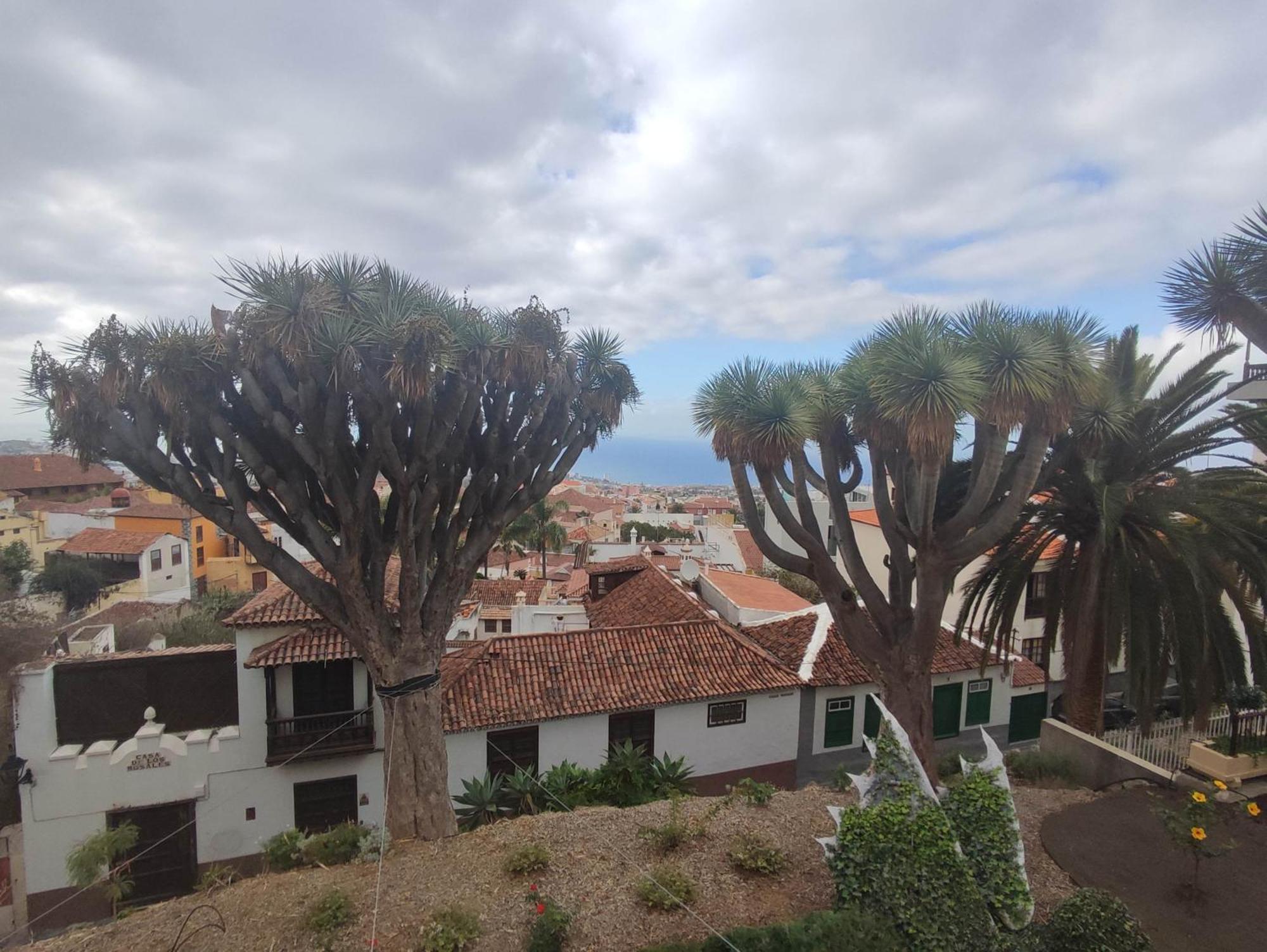 Casa Ruth Centro Orotava Apartment La Orotava Phòng bức ảnh